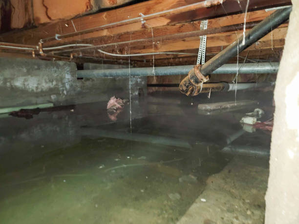 Best Water damage restoration company  in New Baltimore, MI