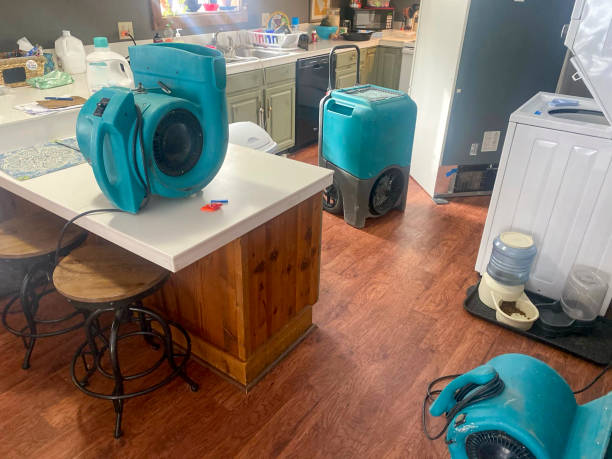 Best Water damage restoration insurance claims  in New Baltimore, MI