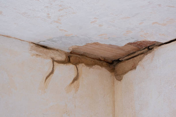 Best Water damage contractors near me  in New Baltimore, MI