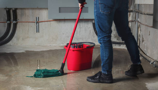Best Flooded house restoration  in New Baltimore, MI