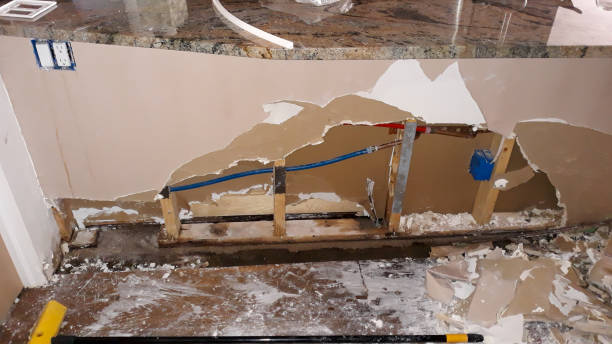 Best Sewage cleanup and water damage restoration  in New Baltimore, MI