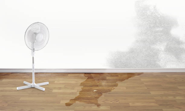 Water damage restoration process in MI